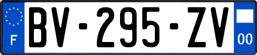 BV-295-ZV