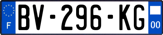 BV-296-KG