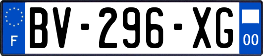 BV-296-XG