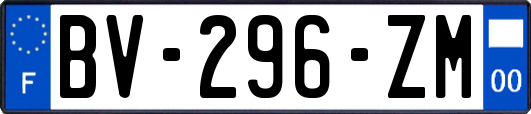 BV-296-ZM