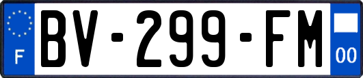 BV-299-FM