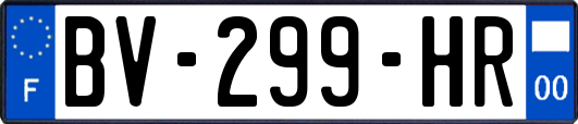 BV-299-HR