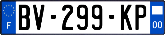 BV-299-KP