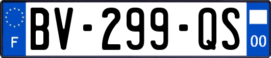 BV-299-QS