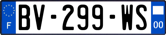 BV-299-WS