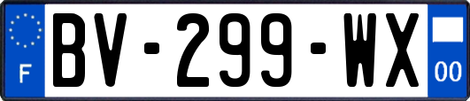 BV-299-WX