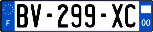 BV-299-XC