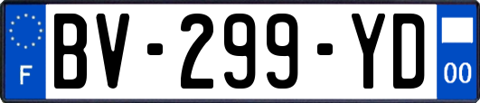 BV-299-YD