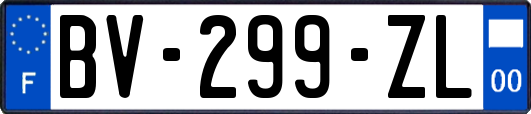 BV-299-ZL