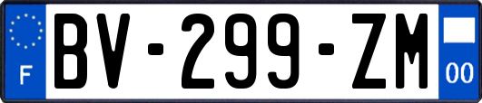 BV-299-ZM