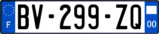 BV-299-ZQ