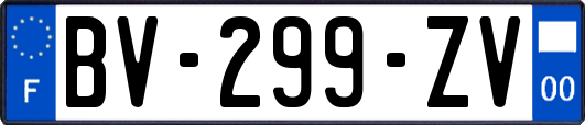 BV-299-ZV