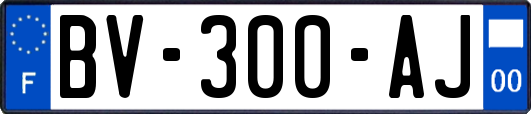 BV-300-AJ