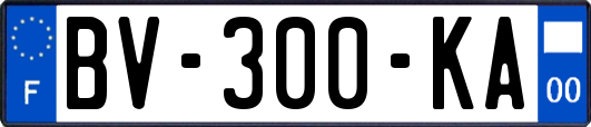 BV-300-KA