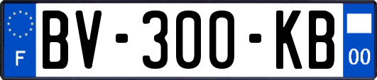 BV-300-KB
