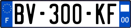BV-300-KF