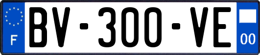 BV-300-VE