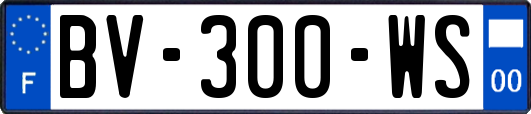 BV-300-WS