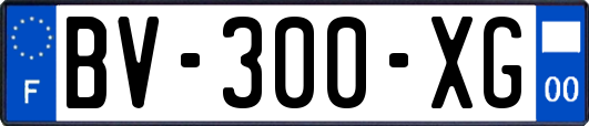 BV-300-XG