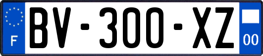 BV-300-XZ