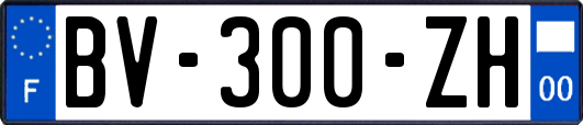 BV-300-ZH