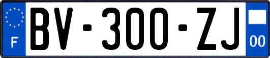 BV-300-ZJ