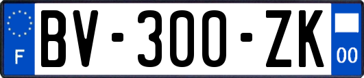 BV-300-ZK