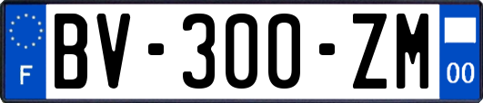 BV-300-ZM