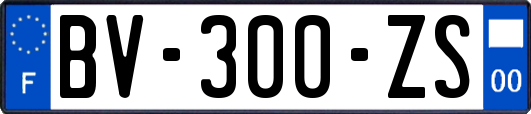 BV-300-ZS