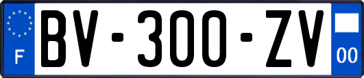 BV-300-ZV