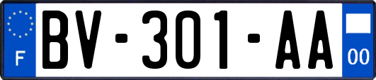 BV-301-AA