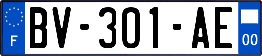 BV-301-AE