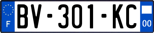 BV-301-KC