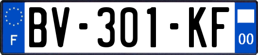 BV-301-KF