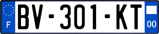 BV-301-KT