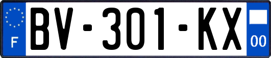 BV-301-KX