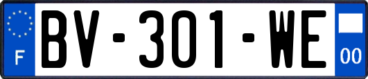 BV-301-WE