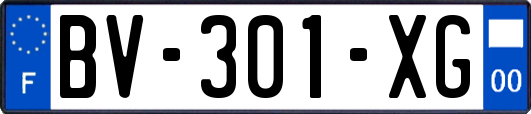 BV-301-XG
