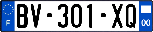 BV-301-XQ