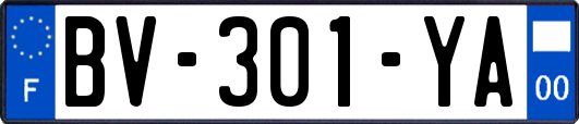 BV-301-YA