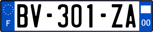 BV-301-ZA