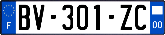 BV-301-ZC