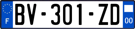 BV-301-ZD