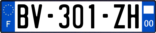 BV-301-ZH