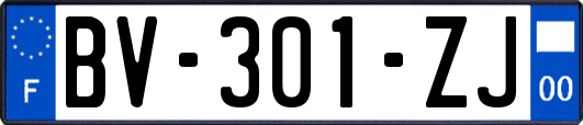 BV-301-ZJ