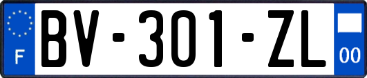 BV-301-ZL