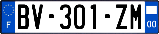 BV-301-ZM