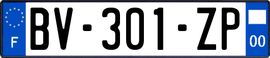 BV-301-ZP