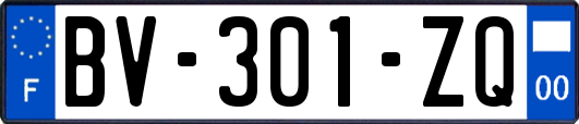 BV-301-ZQ