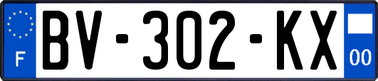 BV-302-KX